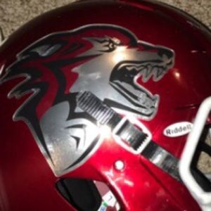 Meet your Posher, Hayden